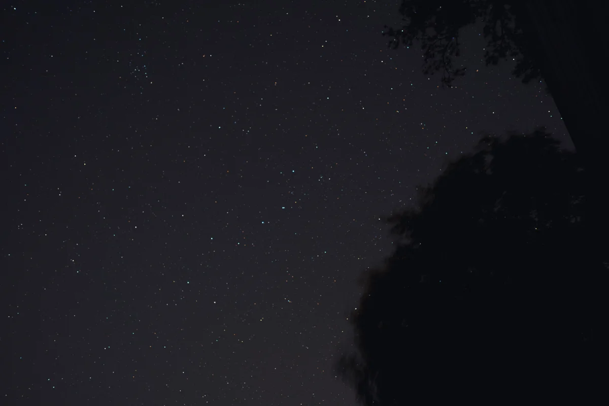 Stars scattered across a dark night sky framed by silhouetted trees.