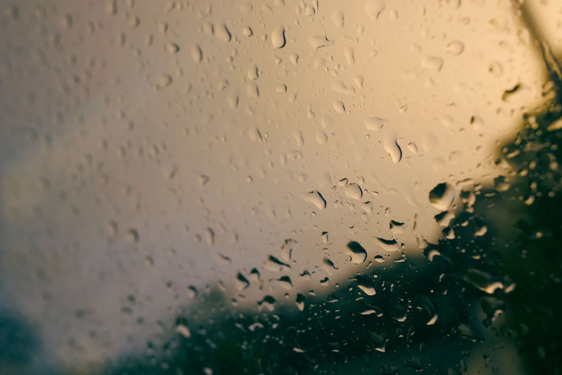 Water droplets on glass reflecting warm light and deep green shadows, photographed by William Keeble